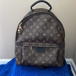 SOLD Louis Vuitton Palm Springs MM